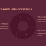 7_challenges-and-considerations.png